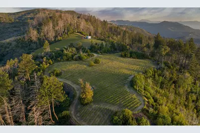 3801 Mount Veeder Road Road, Napa, CA 94558 - Photo 2