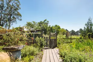 585 Evergreen Rd, Bolinas, CA 94924 - Photo 36