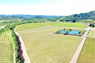 5520 W Soda Rock Ln, Healdsburg, CA 95448 - Photo 4