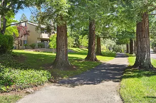 32 Mariposa Ln, Novato, CA 94947 - Photo 50