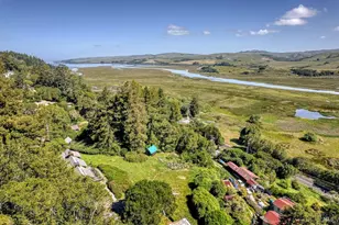 57 Laurel St, Inverness, CA 94937 - Photo 4