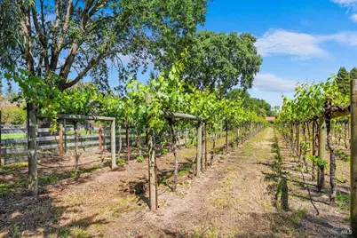 19521 7th Street, Sonoma, CA 95476 - Photo 8