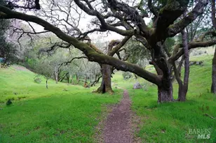 74 Hector Ln, Novato, CA 94949 - Photo 22