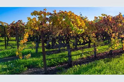 1135 Galleron Road, Saint Helena, CA 94574 - Photo 12