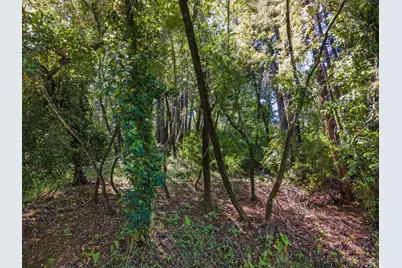 160 Spring Grove Avenue, San Anselmo, CA 94960 - Photo 4