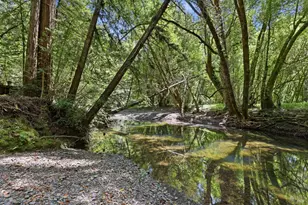 8704 Bohemian Hwy, Monte Rio, CA 95462 - Photo 32