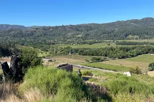 3500 Silverado Trail, Saint Helena, CA 94574 - Photo 1