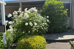 84 La Paz Dr, Sonoma, CA 95476 - Photo 36