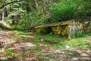 11345 Ca 116 Hwy, Guerneville, CA 95446 - Photo 10