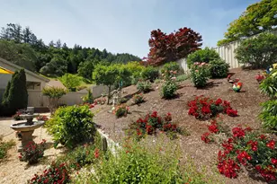 313 Rolling Hill Ct, Cloverdale, CA 95425 - Photo 34