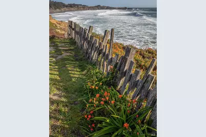 290 Del Mar Point, The Sea Ranch, CA 95497 - Photo 54