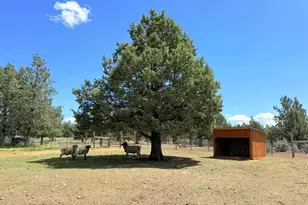 3004 Pencil Rd, Alturas, CA 96101 - Photo 24