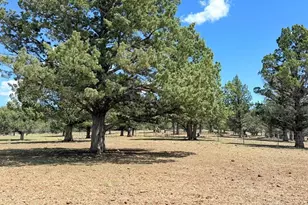 3004 Pencil Rd, Alturas, CA 96101 - Photo 26