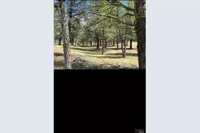 3004 Pencil Road, Alturas, CA 96101 - Photo 28