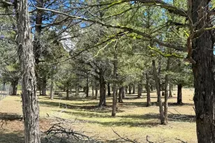 3004 Pencil Rd, Alturas, CA 96101 - Photo 28