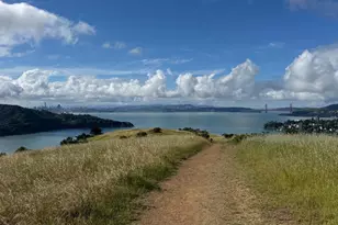 616 Ridge Rd, Tiburon, CA 94920 - Photo 78