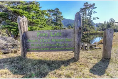 15721 Forest View Road, Irish Beach, CA 95459 - Photo 46