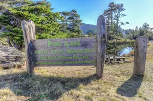15721 Forest View Rd, Irish Beach, CA 95459 - Photo 46