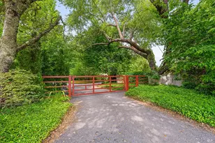 6003 Red Winery Rd, Geyserville, CA 95441 - Photo 88
