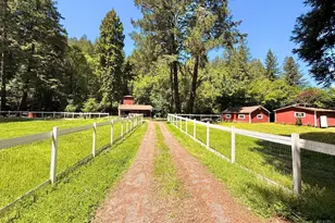 11260 Hwy 116 Hwy, Guerneville, CA 95446 - Photo 4