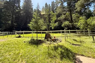11260 Hwy 116 Hwy, Guerneville, CA 95446 - Photo 38