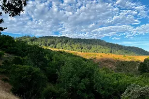 4000 Old Rancheria Rd, Nicasio, CA 94946 - Photo 40