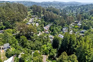 543 Montford Ave, Mill Valley, CA 94941 - Photo 70
