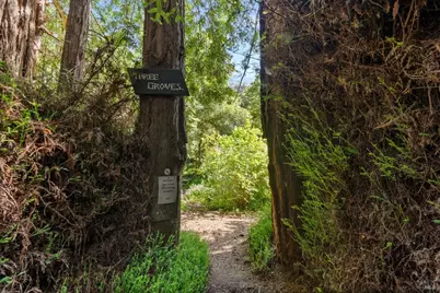 543 Montford Avenue, Mill Valley, CA 94941 - Photo 48