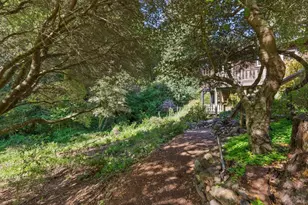 543 Montford Ave, Mill Valley, CA 94941 - Photo 64