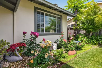 1435 Ivy Lane, Petaluma, CA 94954 - Photo 4