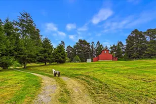 6483 Rohnerville Rd, Hydesville, CA 95547 - Photo 68