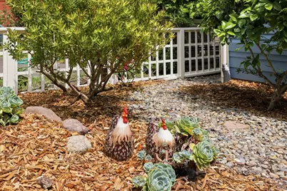 417 F Street, Petaluma, CA 94952 - Photo 8