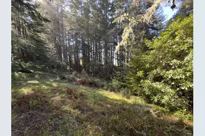 481 Drovers, The Sea Ranch, CA 95497 - Photo 6