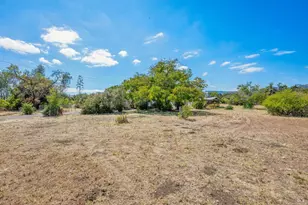 19390 Orange Ave, Sonoma, CA 95476 - Photo 2