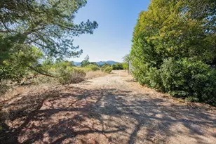 19390 Orange Ave, Sonoma, CA 95476 - Photo 10