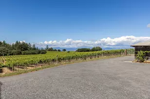 14640 Morelli Ln, Sebastopol, CA 95472 - Photo 54