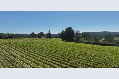 14640 Morelli Lane, Sebastopol, CA 95472 - Photo 22