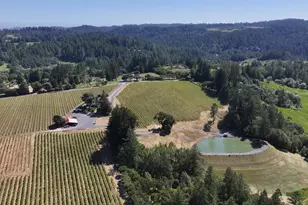 14640 Morelli Ln, Sebastopol, CA 95472 - Photo 20