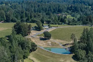 14640 Morelli Ln, Sebastopol, CA 95472 - Photo 6