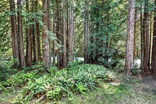 37250 Schooner Dr, The Sea Ranch, CA 95497 - Photo 10