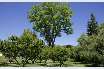 6225 W Soda Rock Lane, Healdsburg, CA 95448 - Photo 46
