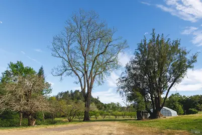 6225 W Soda Rock Lane, Healdsburg, CA 95448 - Photo 46