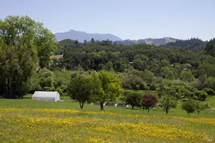 6225 W Soda Rock Ln, Healdsburg, CA 95448 - Photo 52