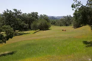 6225 W Soda Rock Ln, Healdsburg, CA 95448 - Photo 62