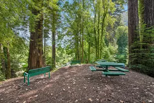 11688 Oak Rd, Forestville, CA 95436 - Photo 48
