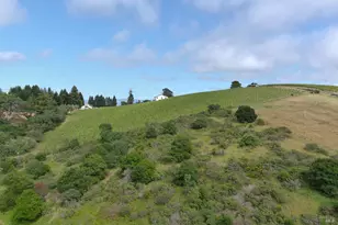 2930 Thorn Rd, Sebastopol, CA 95472 - Photo 1