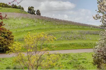 0 Eucalyptus Drive, American Canyon, CA 94503 - Photo 4