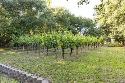 6016 Anderson Road, Forestville, CA 95436 - Photo 82