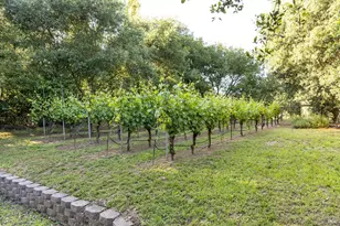 6016 Anderson Rd, Forestville, CA 95436 - Photo 82