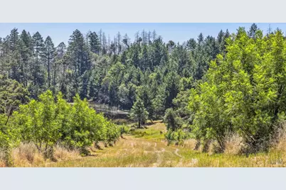 3567 State Highway 128, Calistoga, CA 94515 - Photo 74